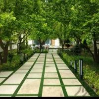 قطعه-زمین-در-صالح-آباد-طرح-هادی