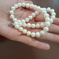 مرواریداصل پرورشی