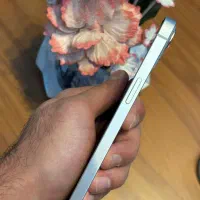 Apple Iphone 13|موبایل|قم, شاه ابراهیم|دیوار