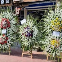 گلفروشی پاراگل