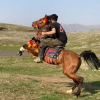 آموزش سوارکاری بانوان و آقایان