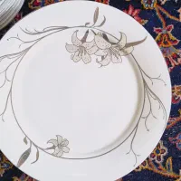 سرویس چینی خارجی آکبند