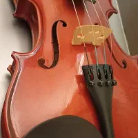 ویولون والنسیا|ویولن|تهران, منیریه|دیوار
