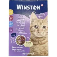 غذای پوچ گربه وینستون مدل پک چهار طعم بسته 12 عددی
