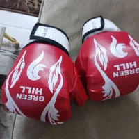دستکش بوکس نوی نو