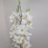 حراج انواع دکوری ظروف گلهای تزیینی گلدان ساعت|صنایع دستی و سایر لوازم تزئینی|کرج, برغان|دیوار
