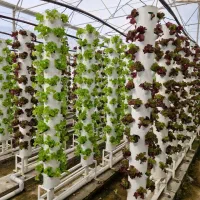 استخدام باغبان و کشاورز