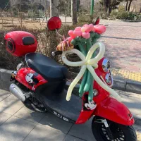 موتور ms1 کویر موتور