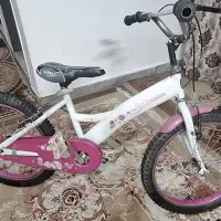 دوچرخه بچه گانه|دوچرخه، اسکیت، اسکوتر|مشهد, شهرآرا|دیوار