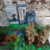 اکواریوم رایگان