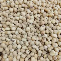 انجیر|خوردنی و آشامیدنی|داراب, |دیوار