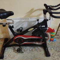 دوچرخه ثابت