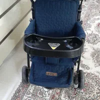 کالسکه دوقلو دلیجان