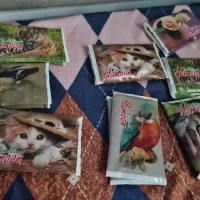 دستمال کاغذی جیبی مدل فانتزی کتابی