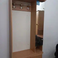 جاکفشی سالم