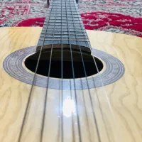 گیتار مدل LC-3900