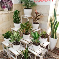 ساخت انواع استند گل