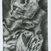 نقاشی سیاهقلم و پاستل گچی