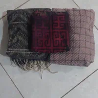 پالتو وسوئیشت
