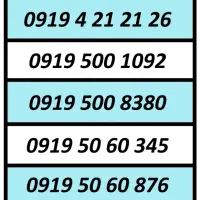 0919.50.60.876|سیمکارت|رباطکریم, رباطکریم|دیوار
