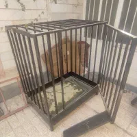 قفس بزرگ و محکم آهنی
