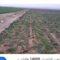 زمین معاوضه