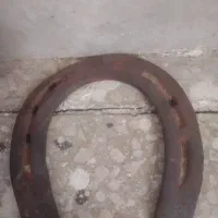 نهل اسب|اسب و تجهیزات اسبسواری|یزد, |دیوار