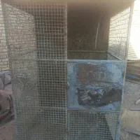 قفس آهنی مرغ و کفتر