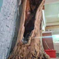 مبلمان و وسایل منزل نقد واقساط|مبلمان خانگی و میز عسلی|اندیشه, اندیشه فاز ۳|دیوار