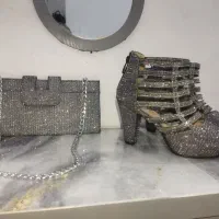 کیف کفش مجلسی شاین دار