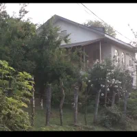 اجاره ویلا شبانه