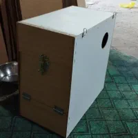 لانه مرغ عشق عروس هلندی گرینچیک
