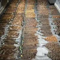 خرید و فروش موهای طبیعی