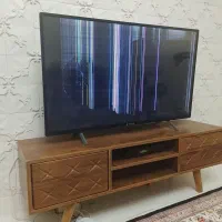 تلویزیون اسنوا
