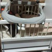 یک عدد تخت بچه  در حد نو|اسباب و اثاث بچه|زاهدان, |دیوار