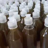 شامپو گل ختمی