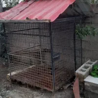 لانه اهنی سگ وپرندگان