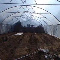 سازه های گلخانه ای صفر تا صد|مصالح و تجهیزات ساختمان|مشهد, خین عرب|دیوار