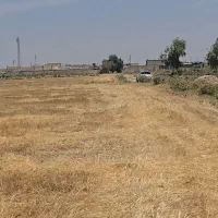 فروش 5 قطعه 200 متری نزدیک شهر
