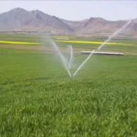 اجاره زمین کشاورزی بارانی
