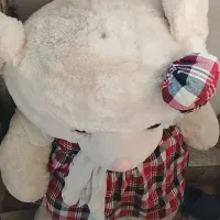 خرس بزرگ