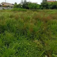 خانه نقلی طبقه بالای همکف راه مشترک