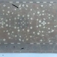 تابلو چوبی|صنایع دستی و سایر لوازم تزئینی|آمل, |دیوار