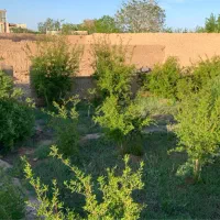 باغ-در-شهرستان-مهریز
