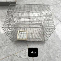 قفس پرنده