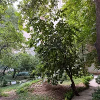 پارک قیطریه/اجاره اپارتمان150سه خواب/مبله/تخلیه|اجارهٔ آپارتمان|تهران, قیطریه|دیوار