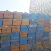 کندو نجف ابادی درجه یک