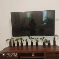 تلوزیون ۵۵ ایولی نیاز به تعمیر|تلویزیون و پروژکتور|بوشهر, |دیوار