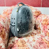 کیف حمل سگ و گربه،خرگوش،پرنده