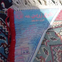 فرش ۱۲متری|فرش|اصفهان, ناصرخسرو|دیوار